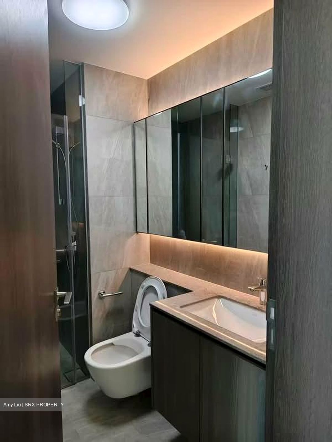 Piccadilly Grand (D8), Apartment #566508011